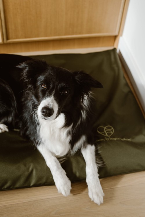 Legowisko dla psa (gryka) - zielone - Everyday Ritu