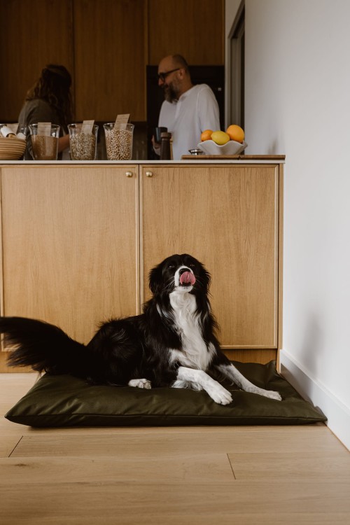 Legowisko dla psa (gryka) - zielone - Everyday Ritu