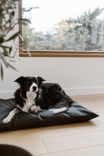 Legowisko dla psa (gryka) - grafitowe - Everyday Ritu