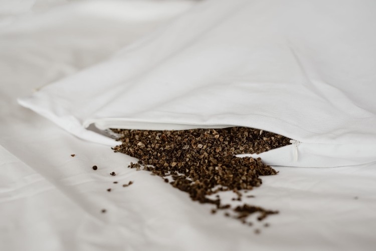 Poduszka z łuską gryki